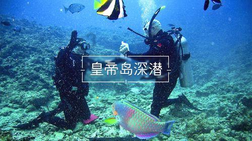 2024数字科技前沿应用趋势报告-智能科技跨界相变