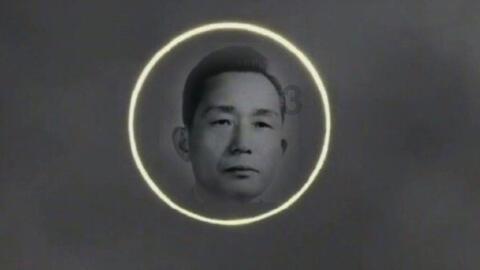 宇宙蜜蜂